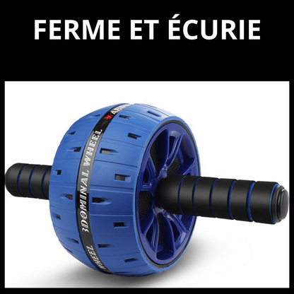 ROUE ABDOMINALE D EXERCICES DES MUSCLES <br> Modèle # SUMMER