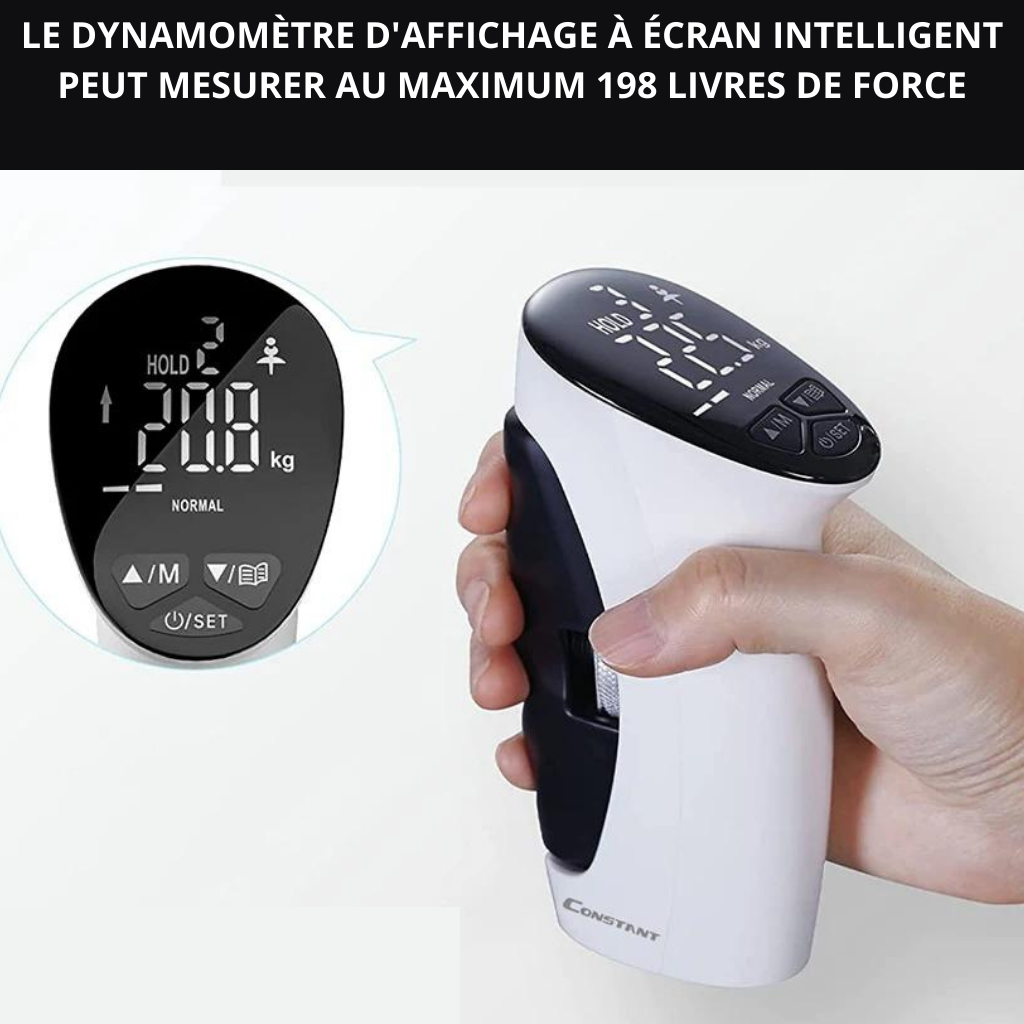 DYNAMOMÈTRE ÉLECTRONIQUE À POIGNÉE <br> Modèle # SUMMER