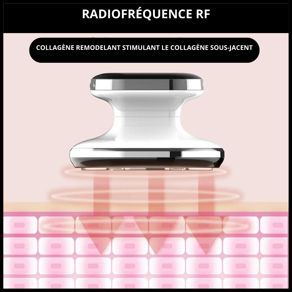 SIMULATEUR PERTE POIDS ET GRAISSE <br> Modèle # SUMMER