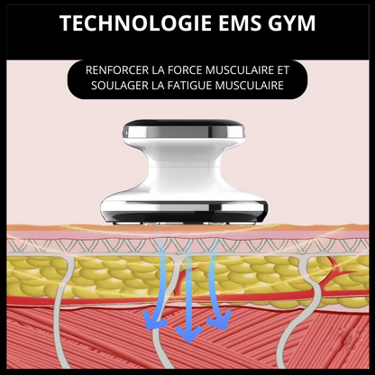 SIMULATEUR PERTE POIDS ET GRAISSE <br> Modèle # SUMMER